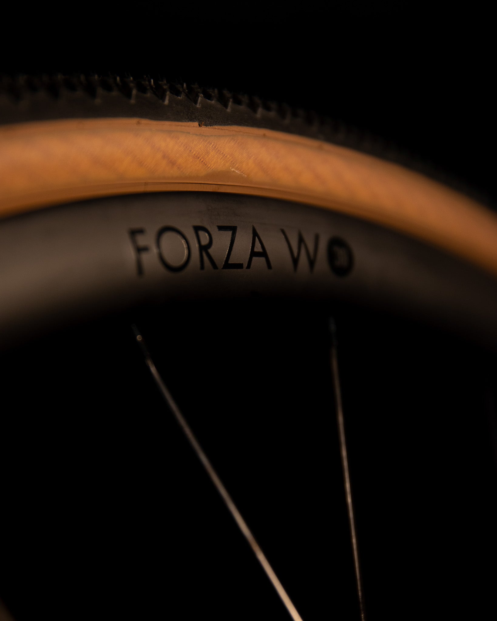 Pacenti Forza-C Wide 30 Carbon Disc Wheelset 700c