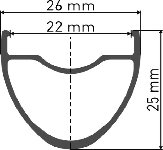 DT Swiss  RR 481 DB SBWT Presta-Drilled Disc Brake Black Rim 700c