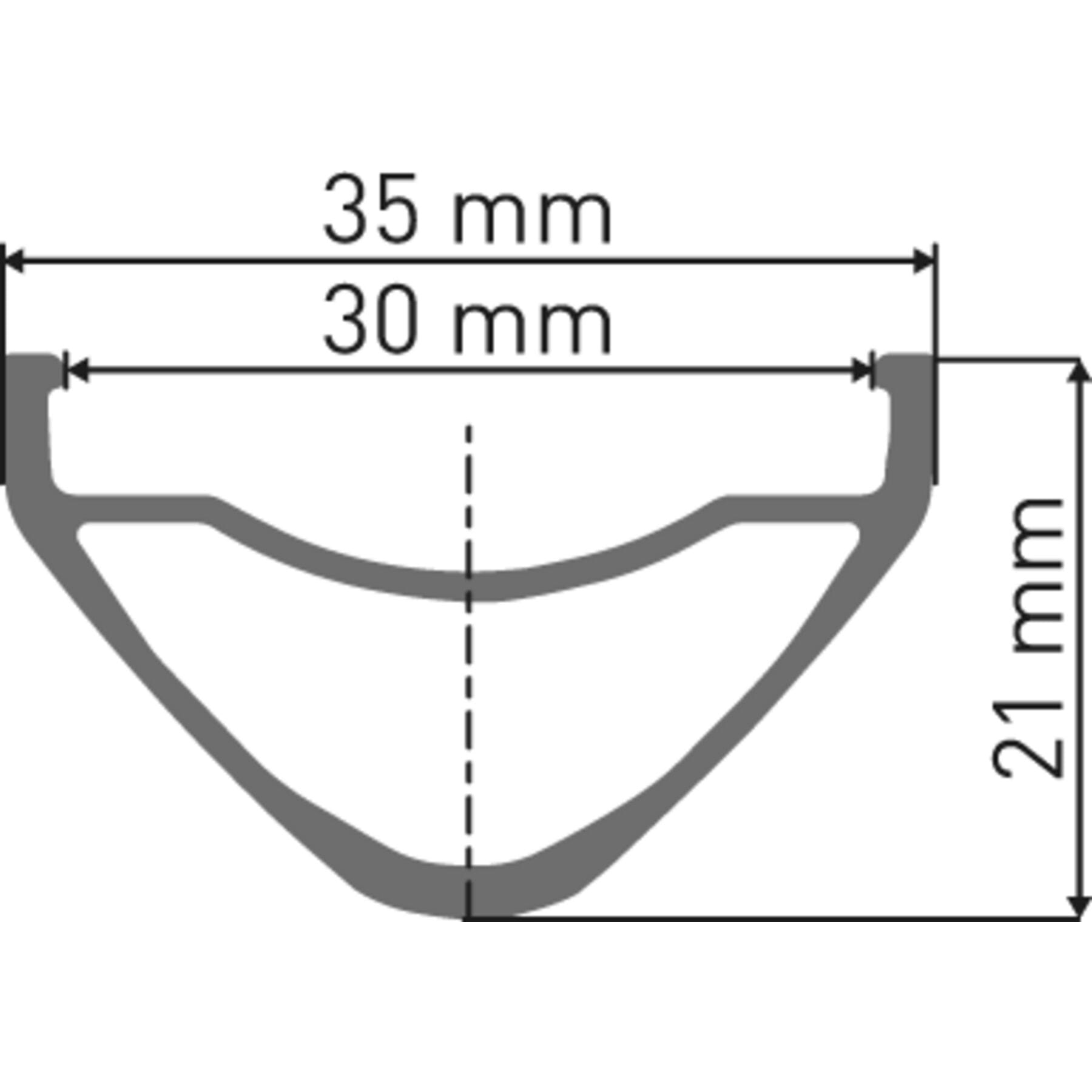 DT Swiss FR 541 SBWT disc-specific Presta Black Rim