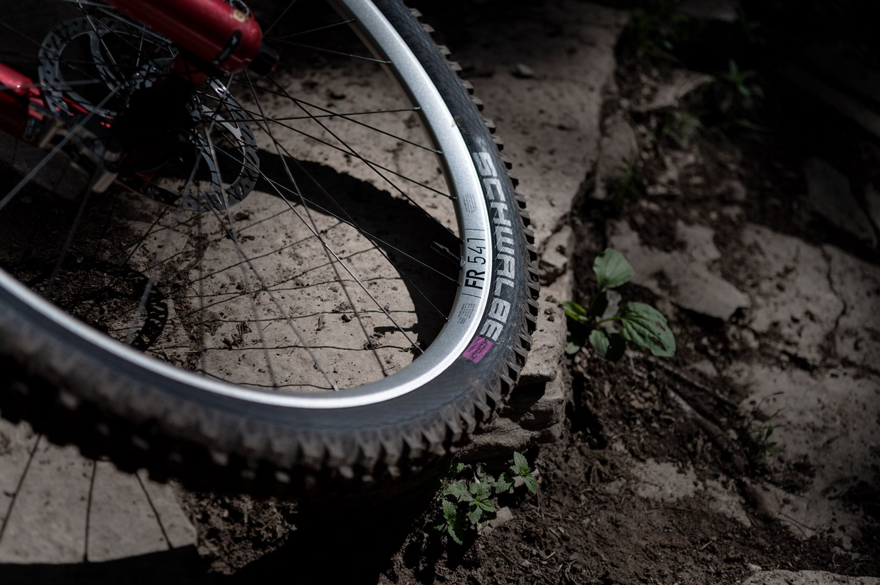 DT Swiss FR 541 SBWT disc-specific Presta Black Rim