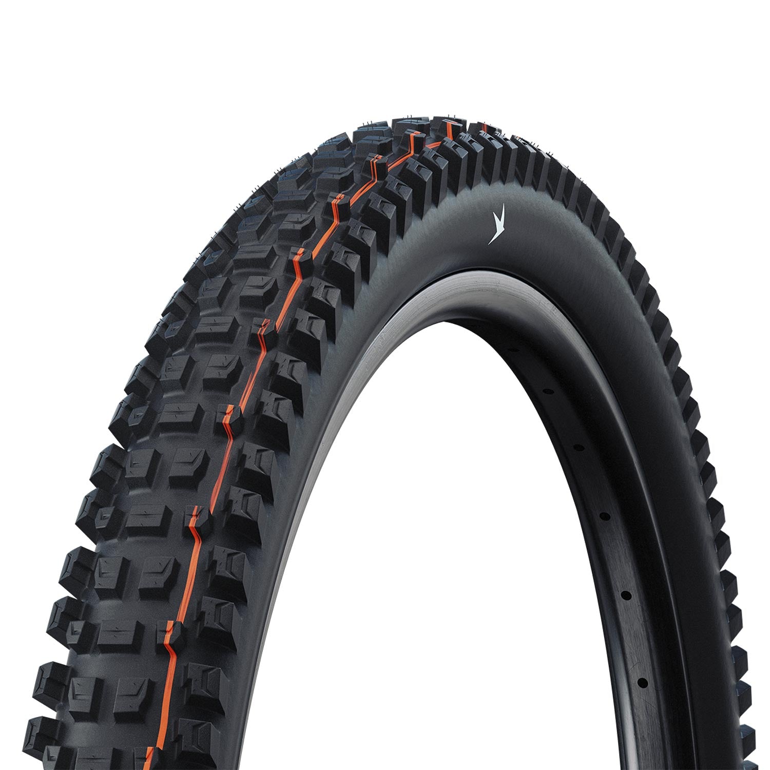 Schwalbe Albert Gravity Pro Radial Soft TLR Folding