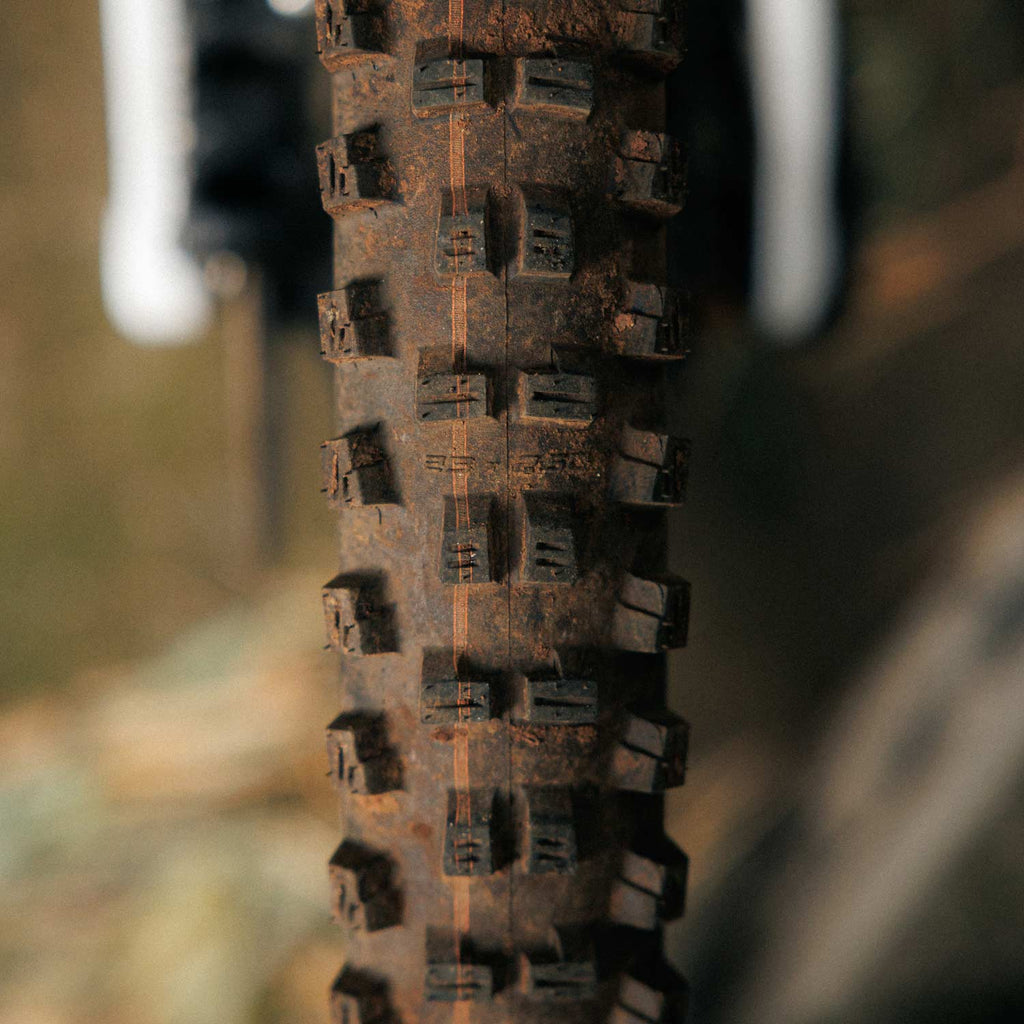 Schwalbe Tacky Chan Gravity Pro Radial Folding TLR