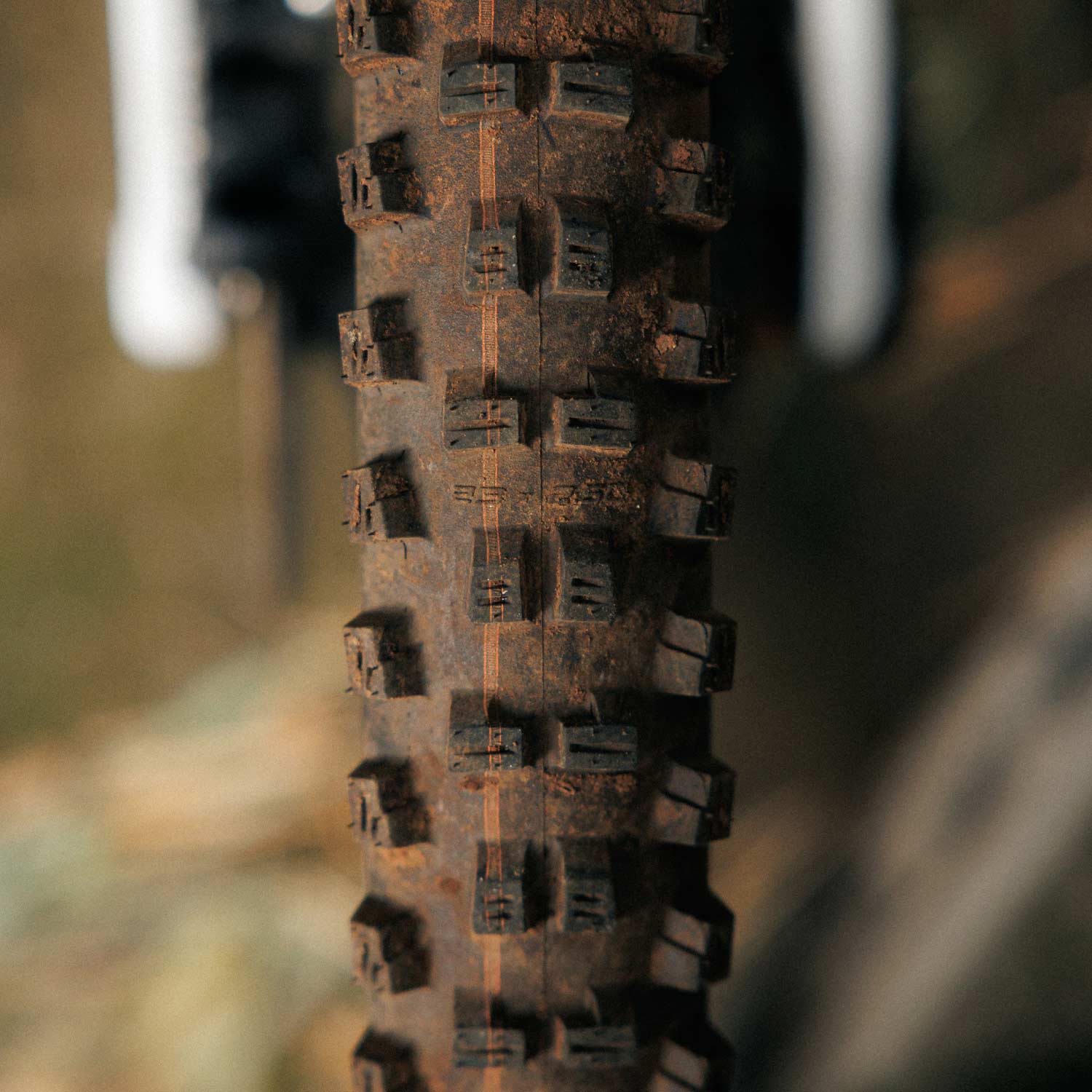 Schwalbe Tacky Chan Gravity Pro Radial Folding TLR
