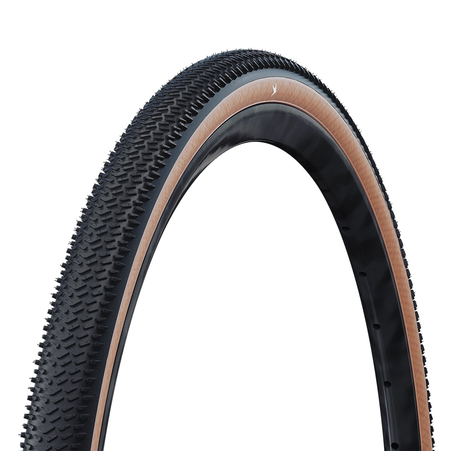 Schwalbe G-One R Pro V-Guard Folding TLR